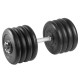 Гантель разборная 42 кг TITAN Barbell - d26